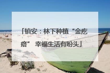 镇安：林下种植“金疙瘩” 幸福生活有盼头