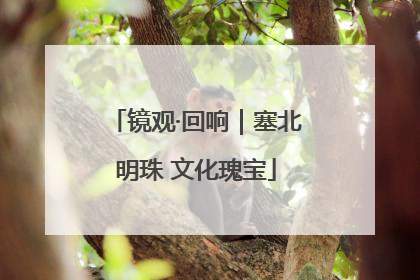 镜观·回响｜塞北明珠 文化瑰宝