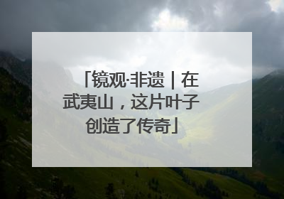 镜观·非遗｜在武夷山，这片叶子创造了传奇