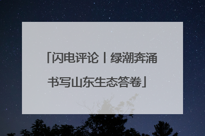 闪电评论丨绿潮奔涌 书写山东生态答卷