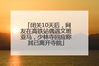 闭关10天后，网友在高铁站偶遇文班亚马，少林寺回应称其已离开寺院