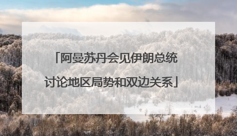 阿曼苏丹会见伊朗总统 讨论地区局势和双边关系