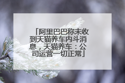 阿里巴巴称未收到天猫养车内斗消息，天猫养车：公司运营一切正常