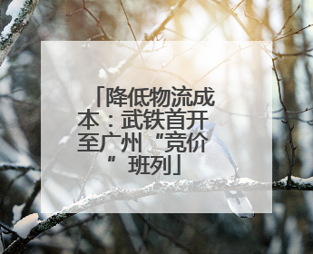 降低物流成本:武铁首开至广州“竞价”班列