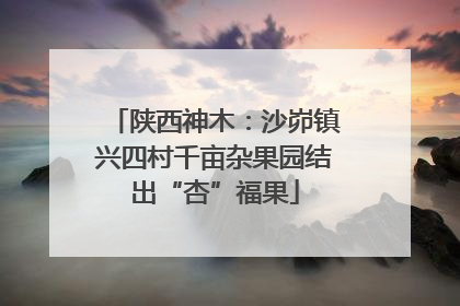 陕西神木：沙峁镇兴四村千亩杂果园结出“杏”福果
