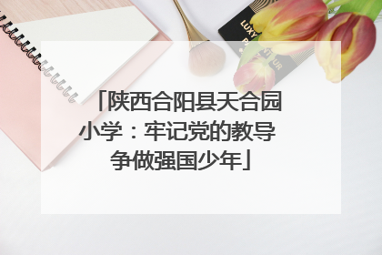 陕西合阳县天合园小学：牢记党的教导 争做强国少年