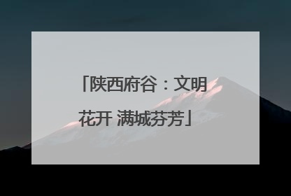 陕西府谷：文明花开 满城芬芳