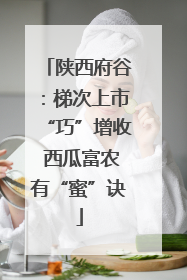 陕西府谷：梯次上市“巧”增收 西瓜富农有“蜜”诀