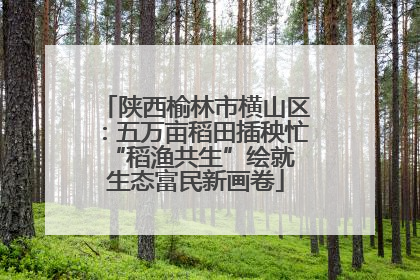 陕西榆林市横山区：五万亩稻田插秧忙 “稻渔共生”绘就生态富民新画卷
