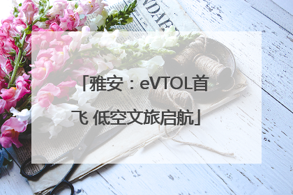 雅安：eVTOL首飞 低空文旅启航