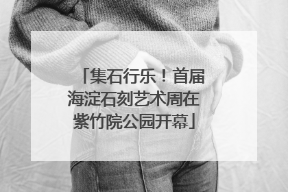 集石行乐！首届海淀石刻艺术周在紫竹院公园开幕