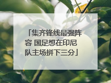 集齐锋线最强阵容 国足想在印尼队主场拼下三分