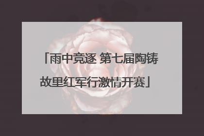 雨中竞逐 第七届陶铸故里红军行激情开赛