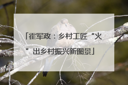 霍军政：乡村工匠“火”出乡村振兴新图景