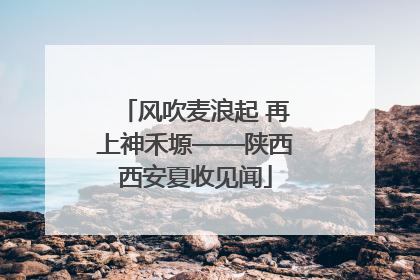 风吹麦浪起 再上神禾塬——陕西西安夏收见闻