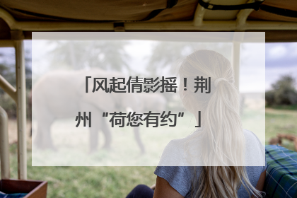 风起倩影摇！荆州“荷您有约”