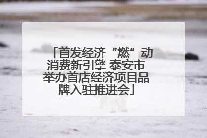 首发经济“燃”动消费新引擎 泰安市举办首店经济项目品牌入驻推进会