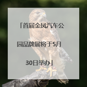 首届金凤汽车公园品牌展将于5月30日举办