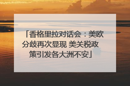 香格里拉对话会：美欧分歧再次显现 美关税政策引发各大洲不安