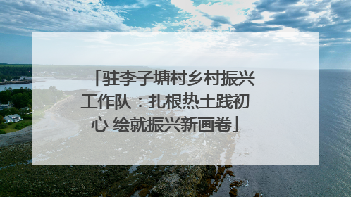 驻李子塘村乡村振兴工作队：扎根热土践初心 绘就振兴新画卷