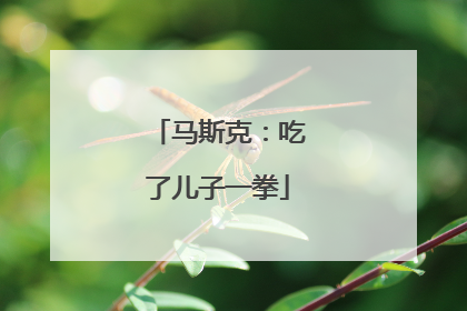 马斯克：吃了儿子一拳