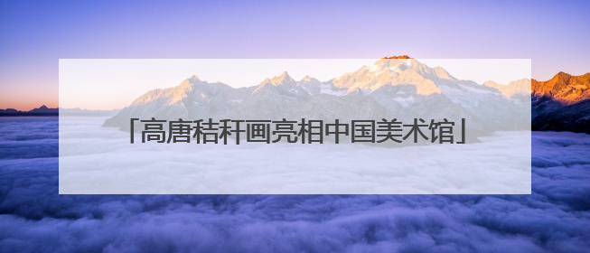高唐秸秆画亮相中国美术馆