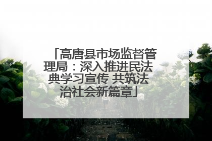 高唐县市场监督管理局：深入推进民法典学习宣传 共筑法治社会新篇章