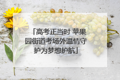 高考正当时 苹果园街道考场外温情守护为梦想护航
