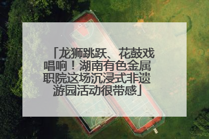 龙狮跳跃、花鼓戏唱响！湖南有色金属职院这场沉浸式非遗游园活动很带感