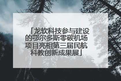 龙软科技参与建设的鄂尔多斯零碳机场项目亮相第三届民航科教创新成果展