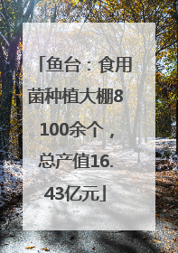 鱼台：食用菌种植大棚8100余个，总产值16.43亿元