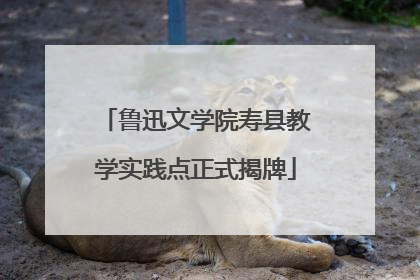 鲁迅文学院寿县教学实践点正式揭牌