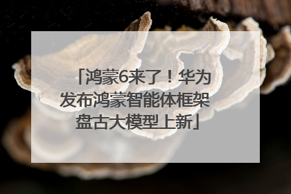 鸿蒙6来了！华为发布鸿蒙智能体框架 盘古大模型上新