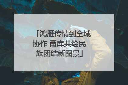 鸿雁传情到全域协作 甬库共绘民族团结新图景