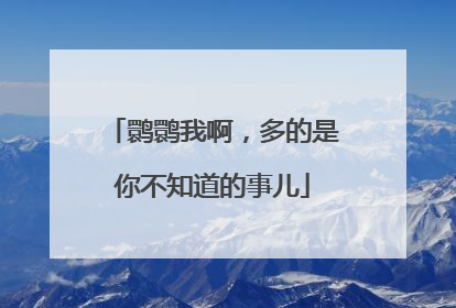 鹮鹮我啊，多的是你不知道的事儿