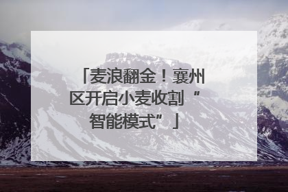 麦浪翻金！襄州区开启小麦收割“智能模式”