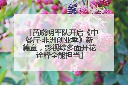 黄晓明率队开启《中餐厅·非洲创业季》新篇章，影视综多面开花诠释全能担当