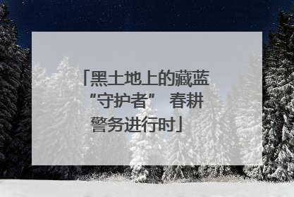 黑土地上的藏蓝“守护者” 春耕警务进行时