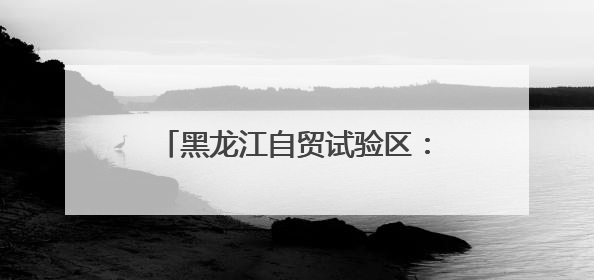 黑龙江自贸试验区：从“创新试验田”向“经济增长极”的质变