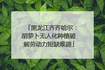 黑龙江齐齐哈尔：胡萝卜无人化种植破解劳动力短缺难题