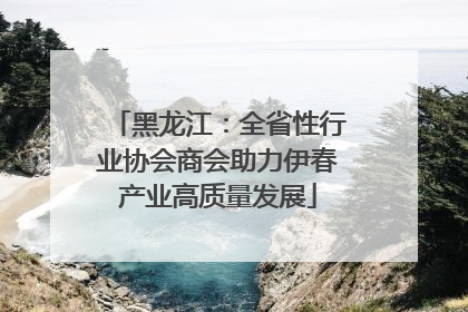 黑龙江：全省性行业协会商会助力伊春产业高质量发展