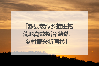 黟县宏潭乡推进撂荒地高效整治 绘就乡村振兴新画卷