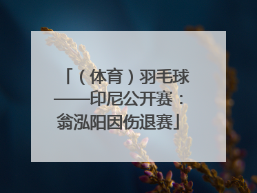 （体育）羽毛球——印尼公开赛：翁泓阳因伤退赛