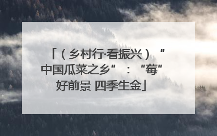 （乡村行·看振兴）“中国瓜菜之乡”：“莓”好前景 四季生金