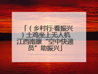 （乡村行·看振兴）土鸡坐上无人机 江西南康“空中快递员”助振兴