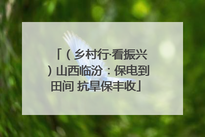 （乡村行·看振兴）山西临汾：保电到田间 抗旱保丰收