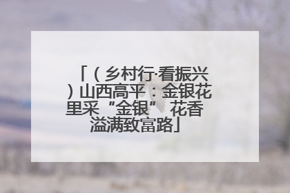 （乡村行·看振兴）山西高平：金银花里采“金银” 花香溢满致富路
