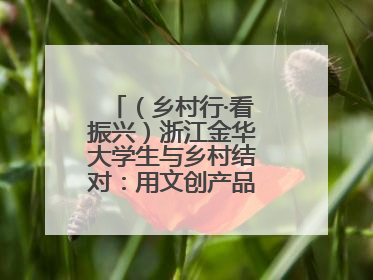 （乡村行·看振兴）浙江金华大学生与乡村结对：用文创产品赋能乡村振兴