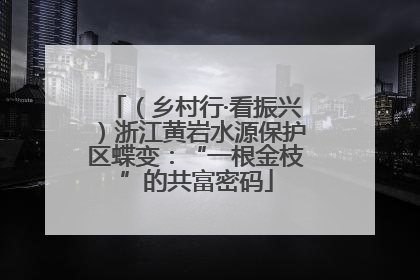 （乡村行·看振兴）浙江黄岩水源保护区蝶变：“一根金枝”的共富密码