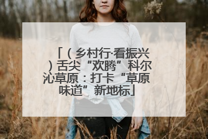 （乡村行·看振兴）舌尖“欢腾”科尔沁草原：打卡“草原味道”新地标